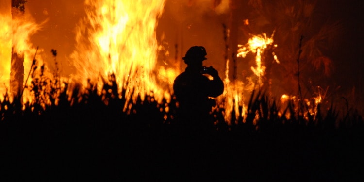 Wildfire at Florida Panther.