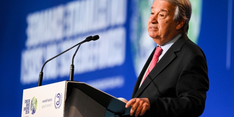 COP: What Is it Exactly and Why Is COP27 so Important?