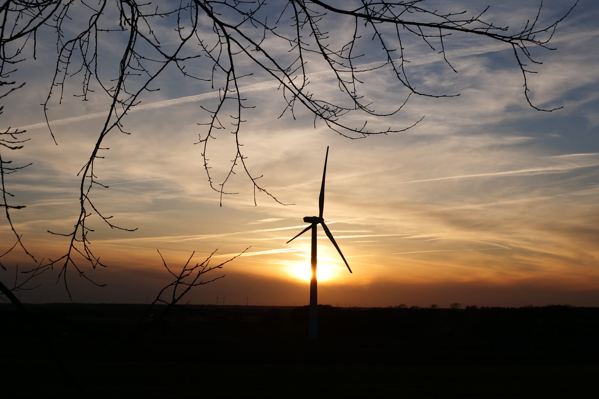 Clean Energy Gets New Opportunity in US Amid Increase in Carbon Emissions