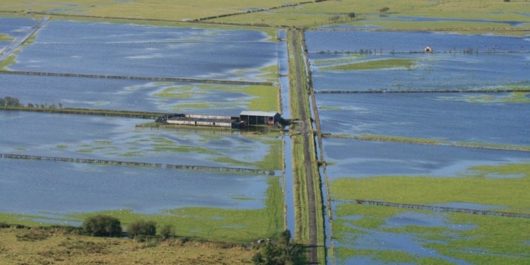 Unprecedented Worldwide Water Crisis in 2021