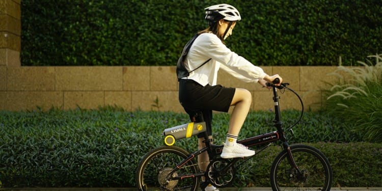 PikaBoost, Making Electric Bikes Accessible to Everyone