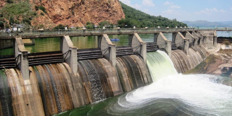 DAMed If You Don’t: DAMed If You Do