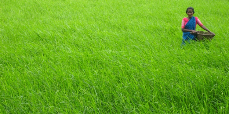 A Woman in Bangladesh participating in a poverty reduction pgorgram