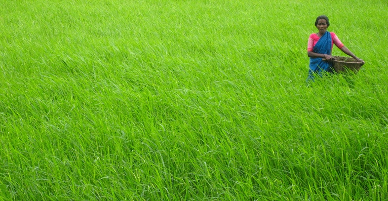 A Woman in Bangladesh participating in a poverty reduction pgorgram