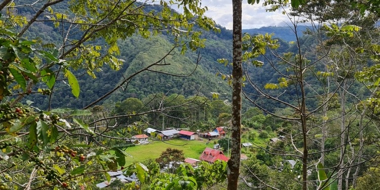 Amazonia Impact Ventures: Investing in the Amazon Communities