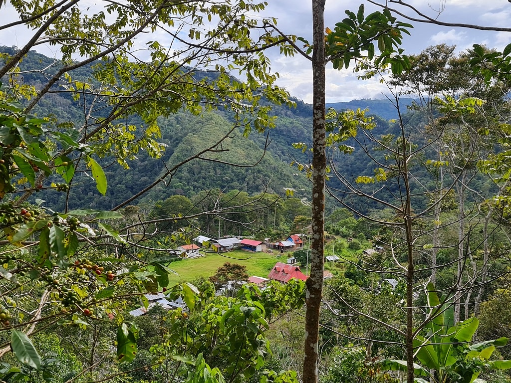 Amazonia Impact Ventures: Investing in the Amazon Communities