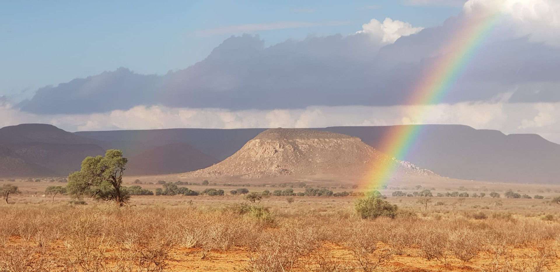 Hermann Rohlfs in Namibia
