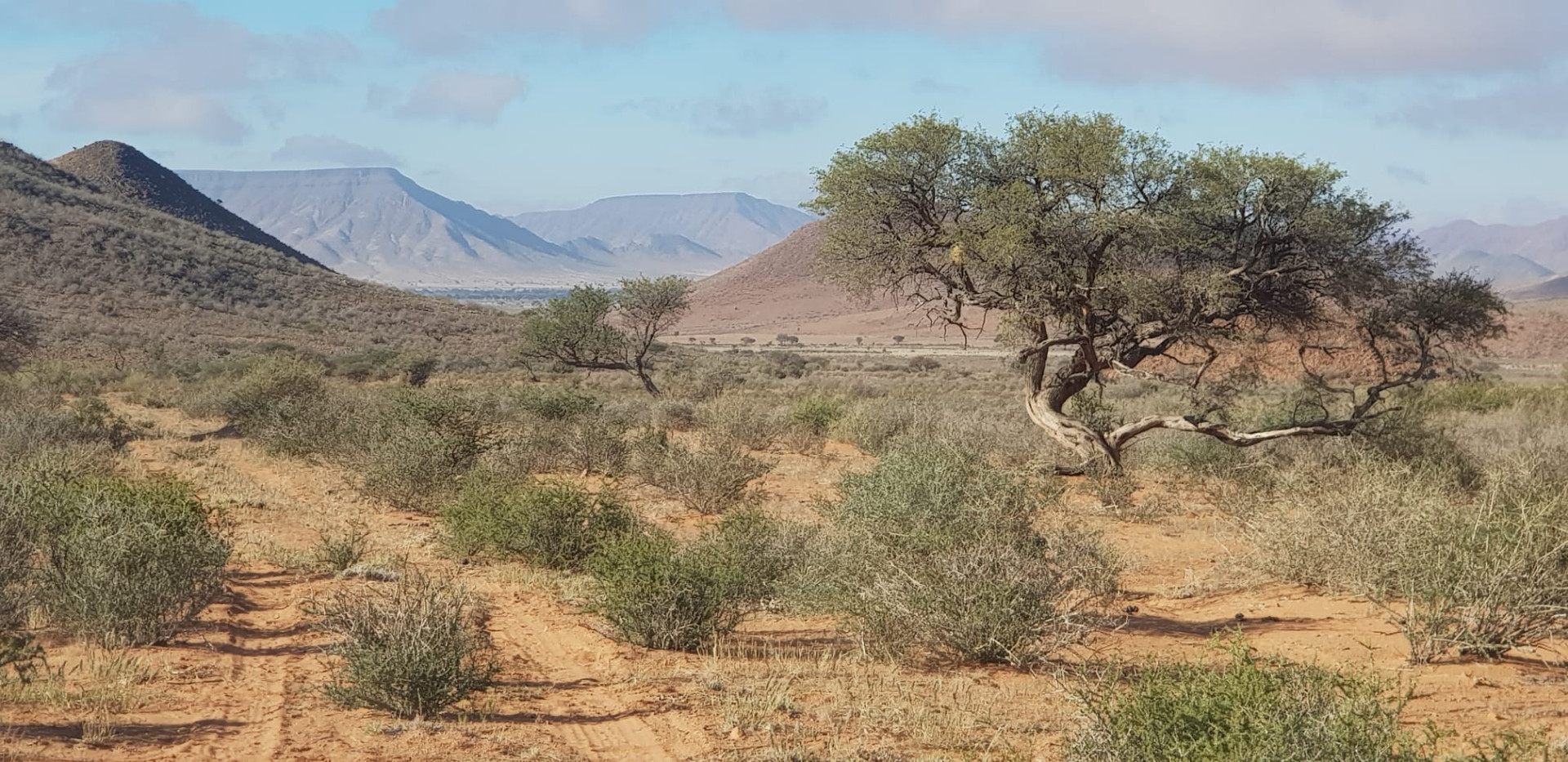 Landscape of Namibia by Hermann Rohlfs