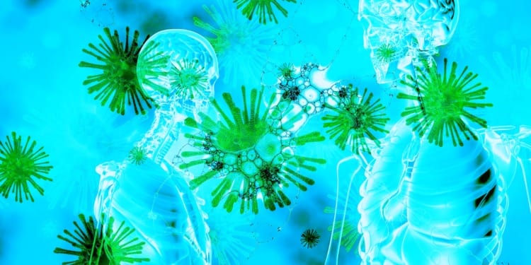 A New One Health Global Action Plan is Out! 