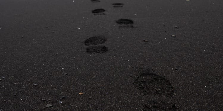 Are Carbon Offsets Worsening the Climate Crisis?