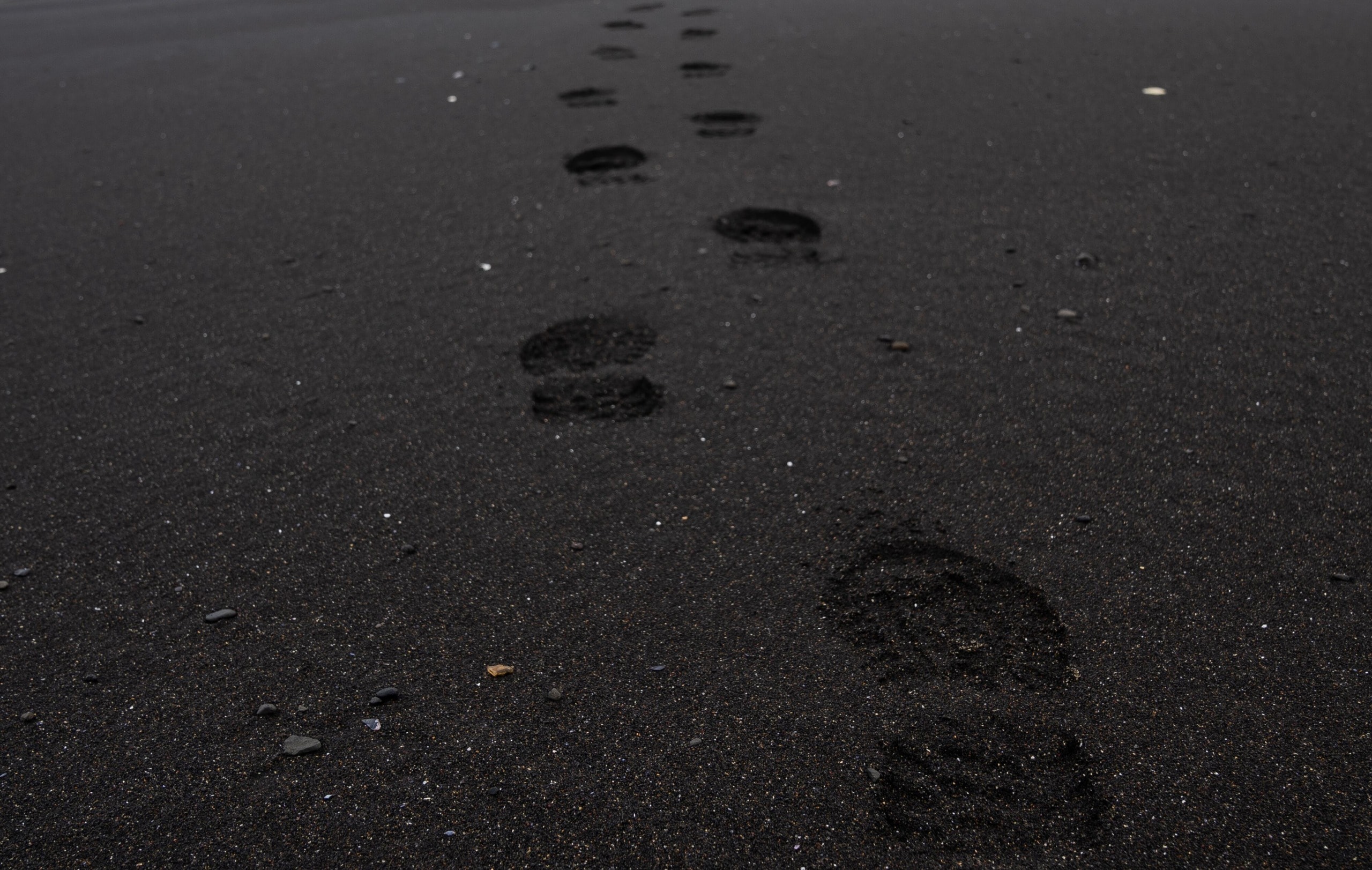 Are Carbon Offsets Worsening the Climate Crisis?