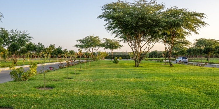 what is green finance? Why it matters for the environment?