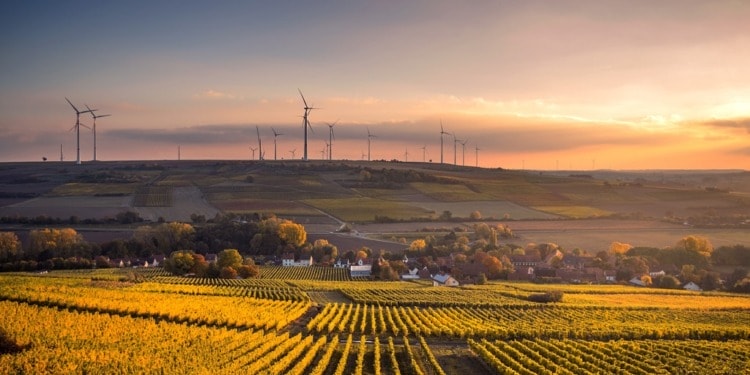 Energy Saving in Europe: Five German Solutions