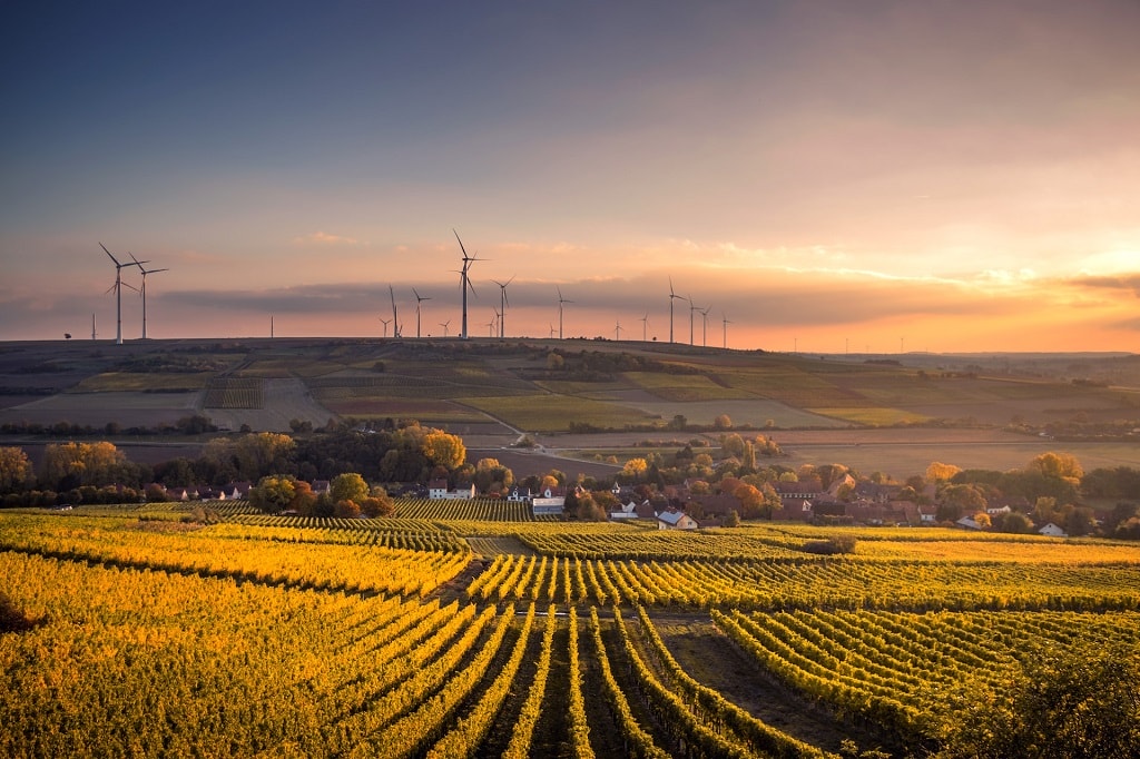 Energy Saving in Europe: Five German Solutions
