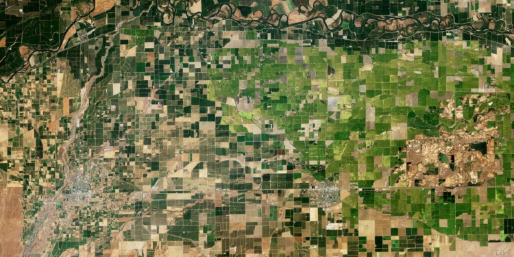 rice field, emissions