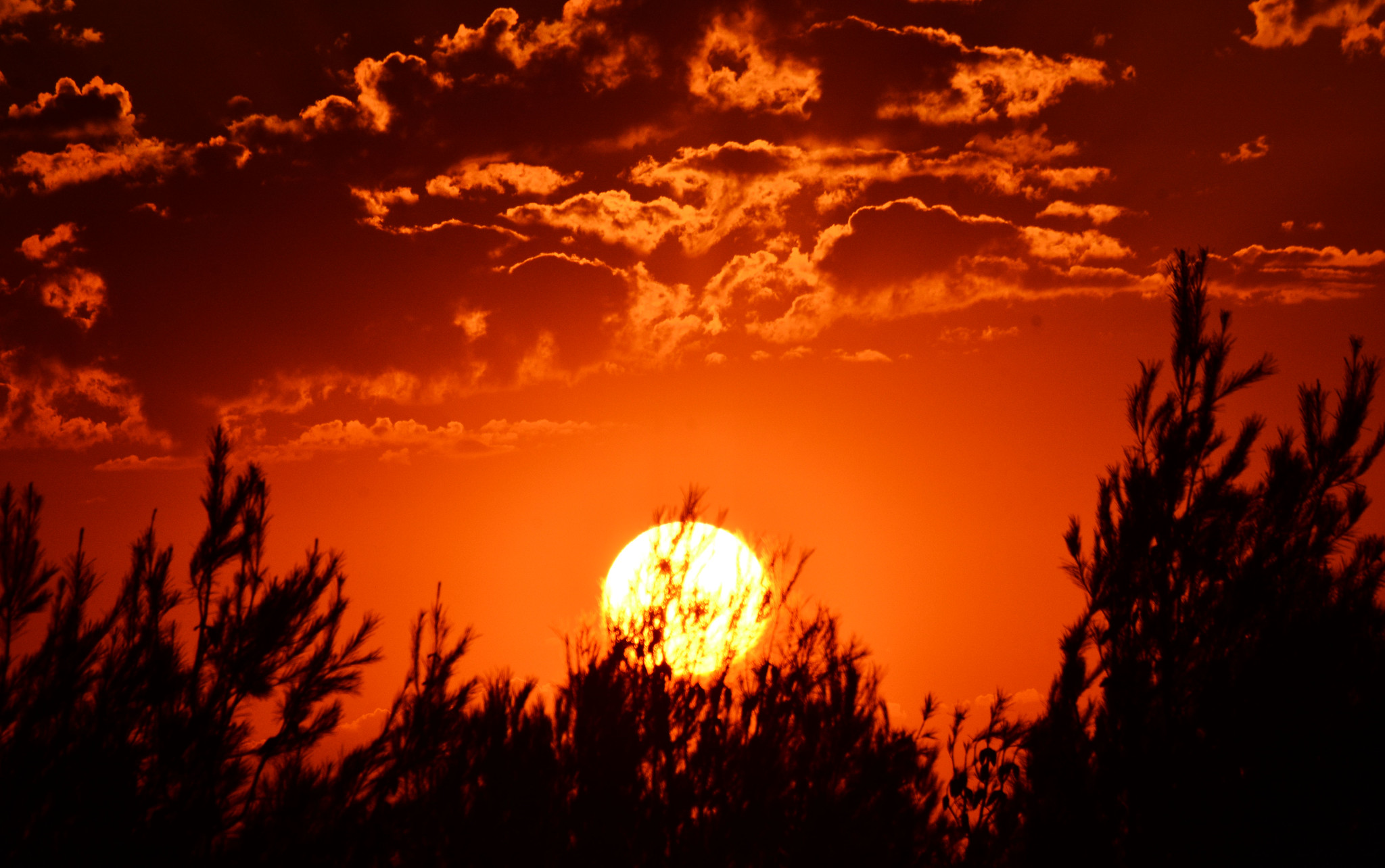 US Makes Breakthrough on Nuclear Fusion, the “Holy Grail” of Clean Energy