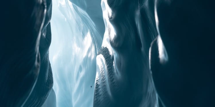 arctic virus spillover