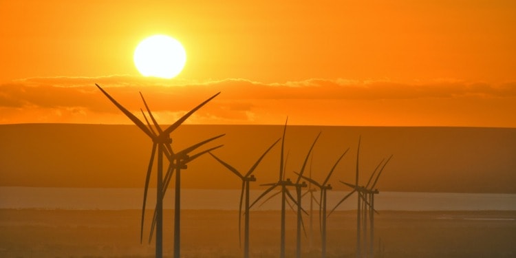 Port Augusta Renewable Energy Park on November 22, 2022.