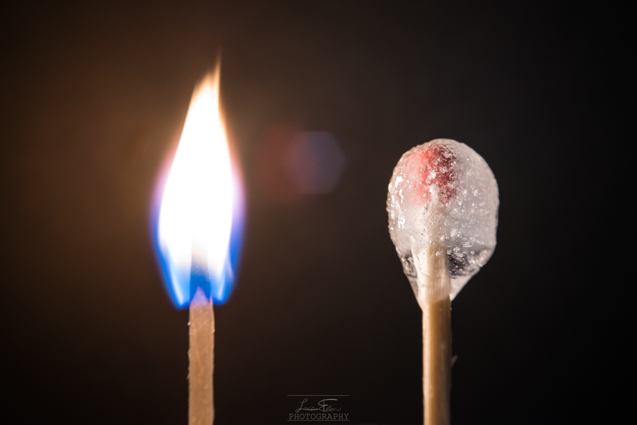 Deadly Heatwaves and Freezing Blizzards – Global Warming Causes Both