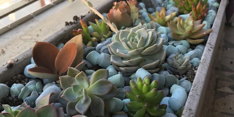 Arqlite, Sustainable Materials From Previously Unrecyclable Plastics