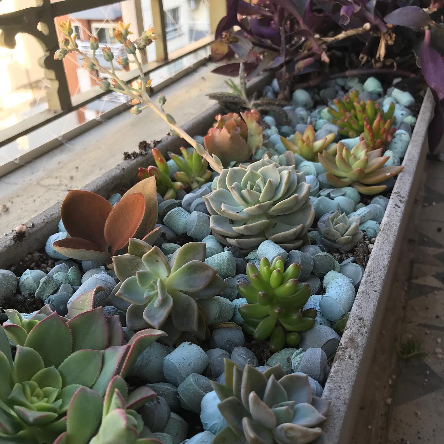 Arqlite, Sustainable Materials From Previously Unrecyclable Plastics