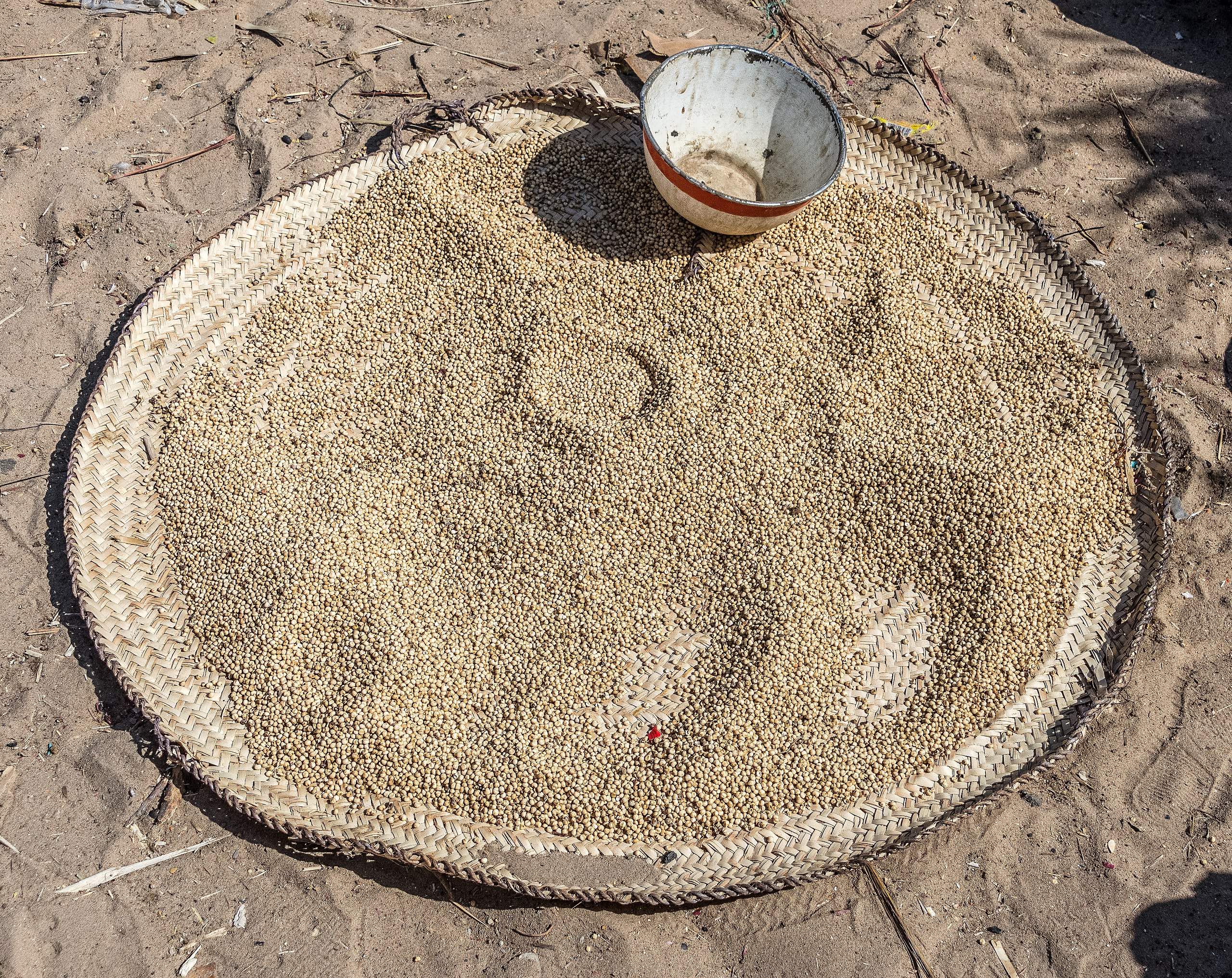 at Yao market, near lake Fitri, Chad