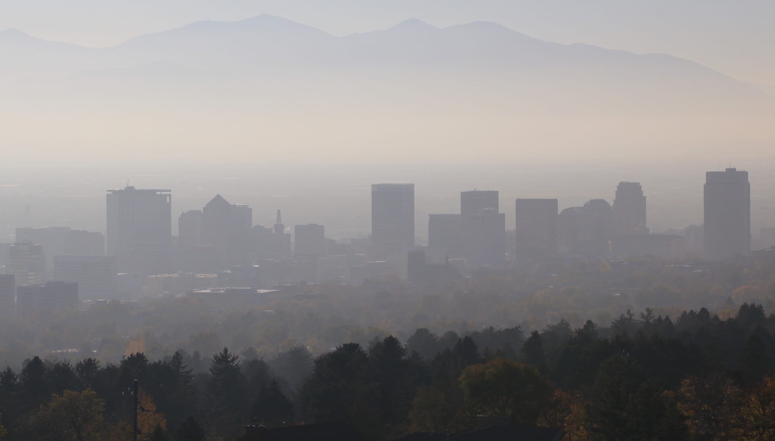 Air Pollution Found to Be Cause of Stillbirths