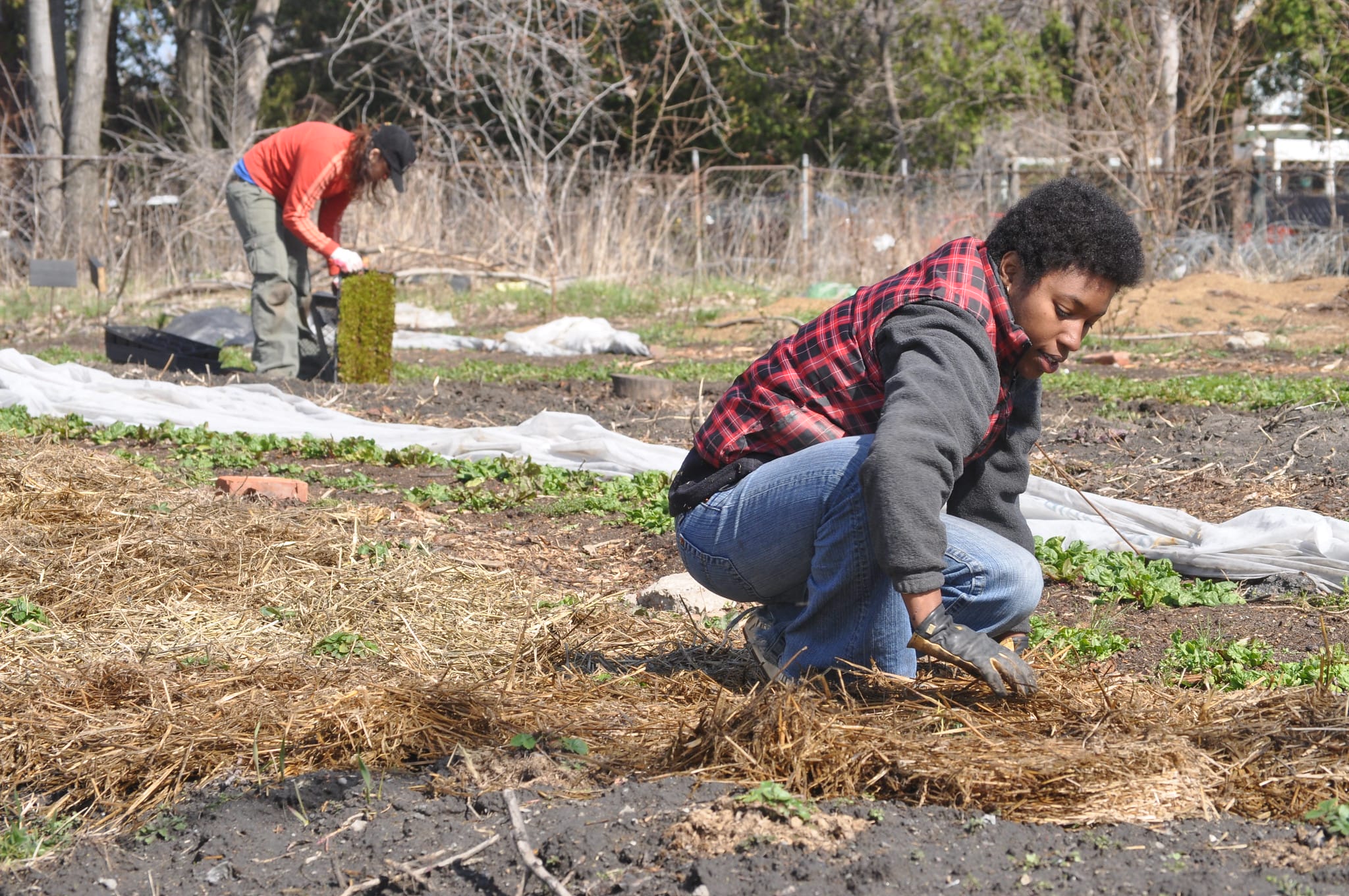 Food Deserts to Urban Oases: Circular Economy Solutions