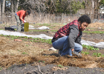 Food Deserts to Urban Oases: Circular Economy Solutions