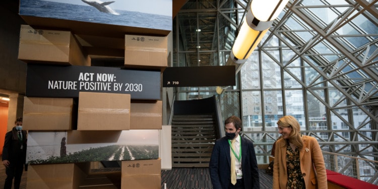 Jenga tower at COP15