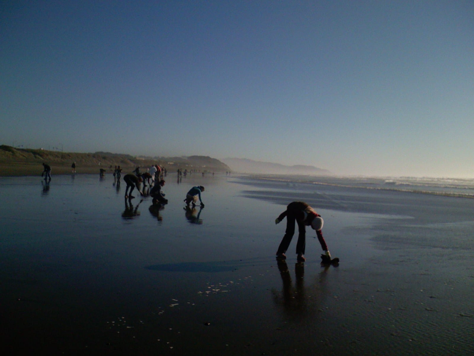 How Hair Cleans Up Oil Spills