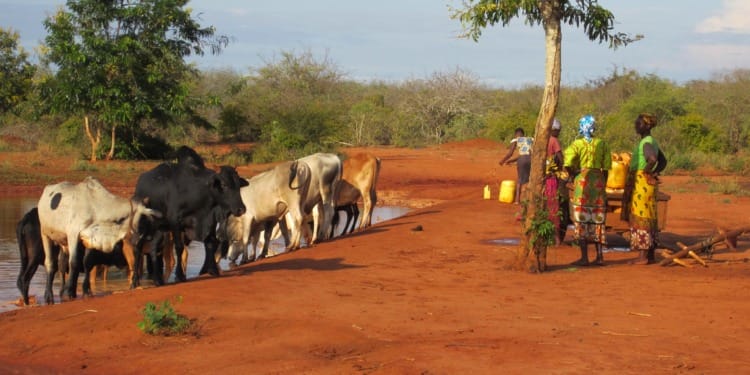 One Health on the 2023 Wish List 