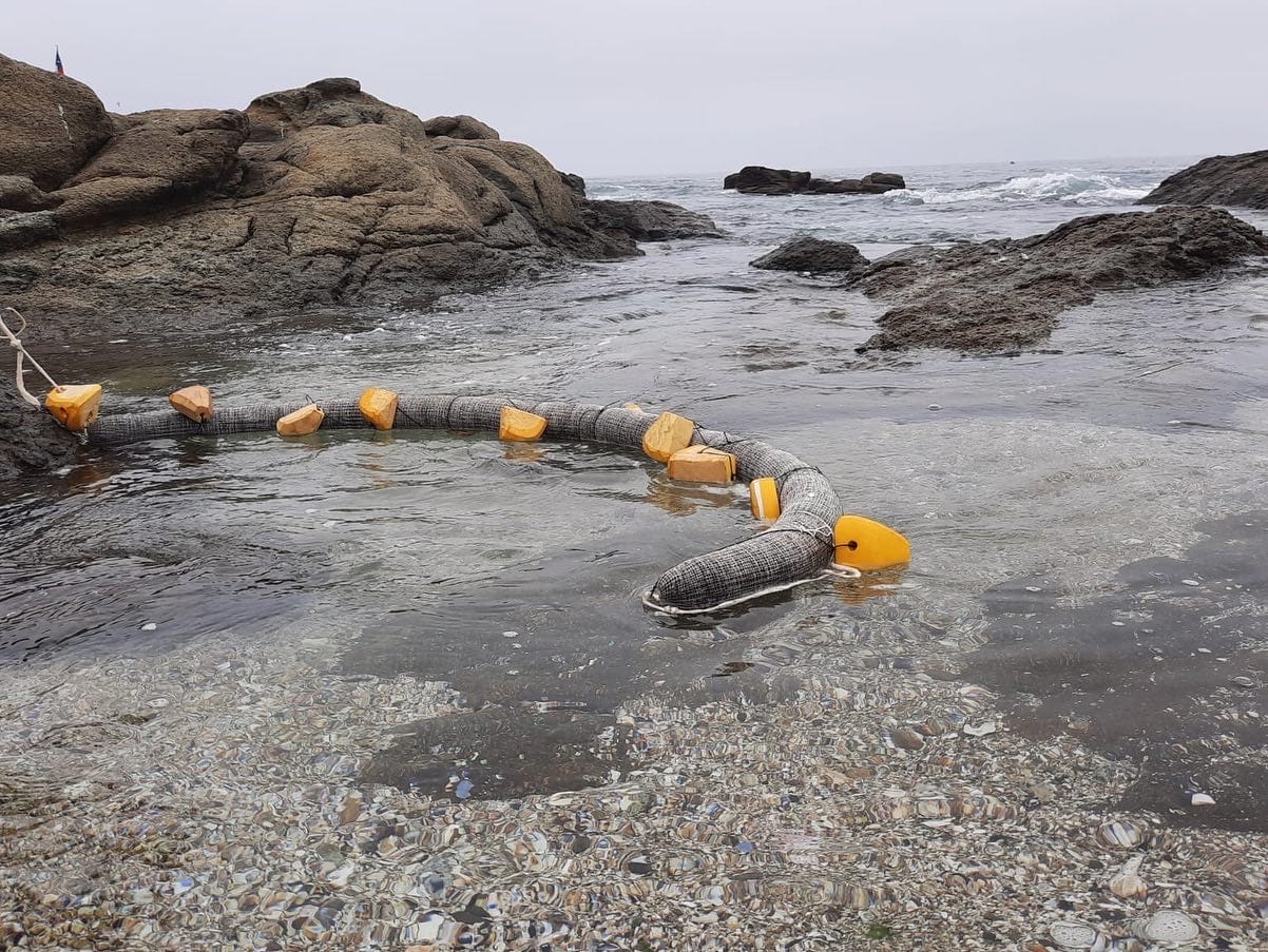 How Hair Cleans Up Oil Spills