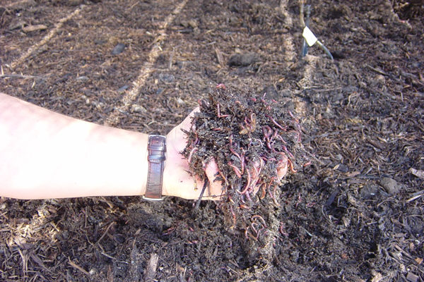 hair oil spill