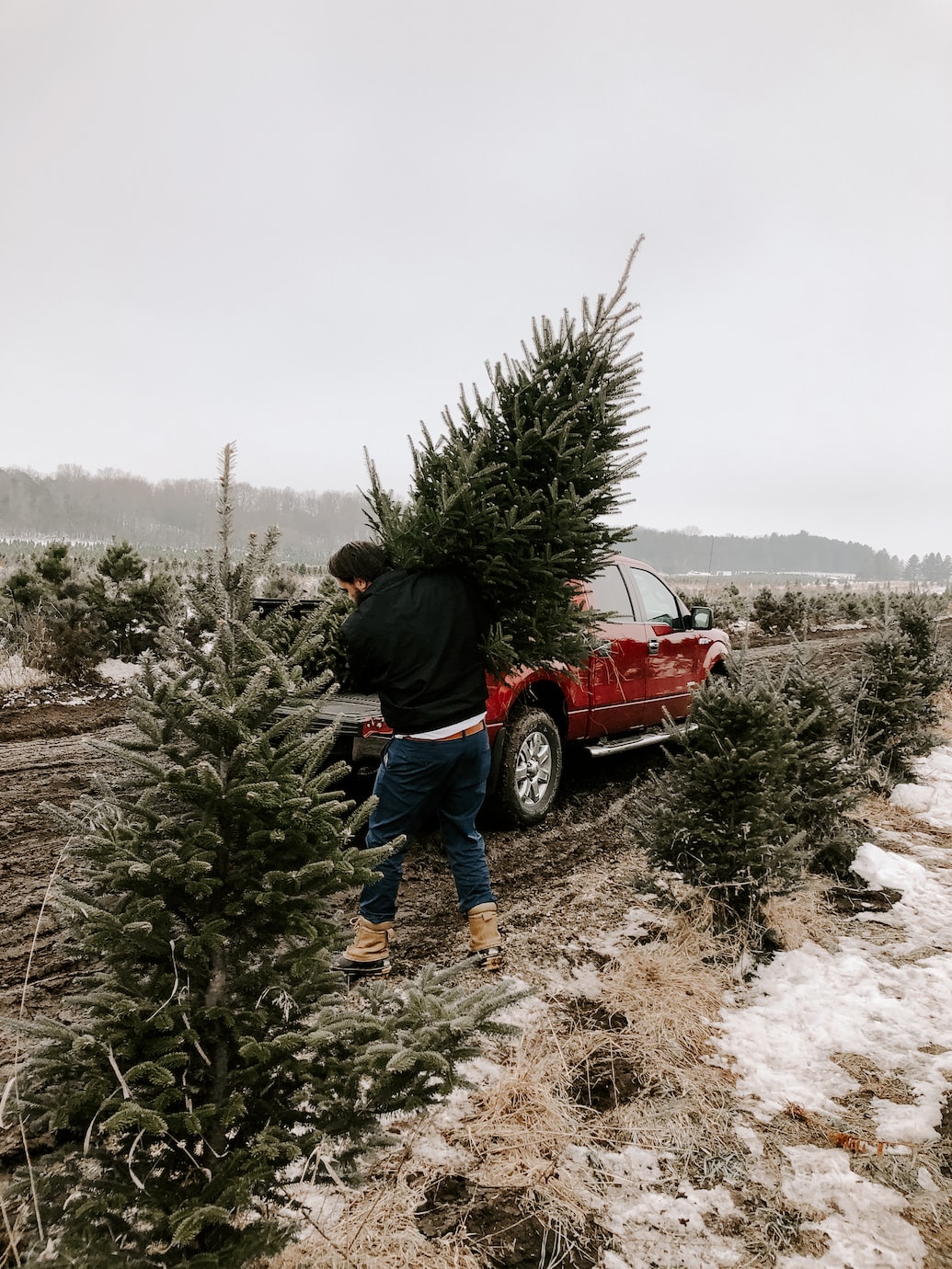 zero waste Christmas tree