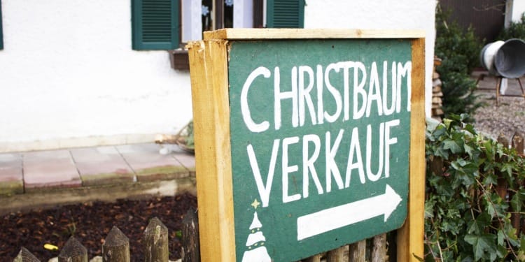 top sustainable German brands