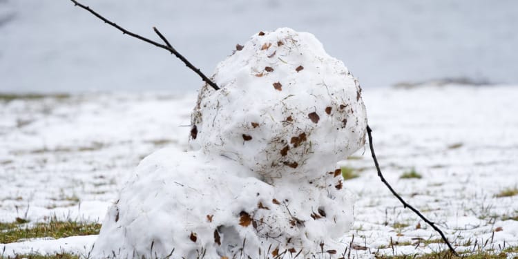 europe january heatwave