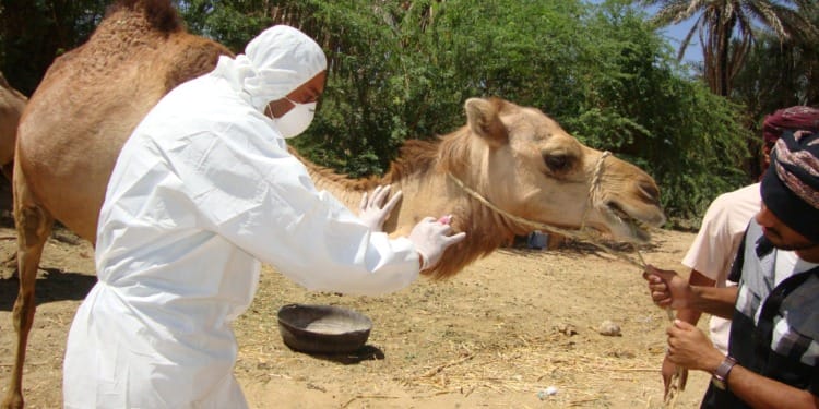 Experts Call for Global Adoption of One Health in Prestigious Publication