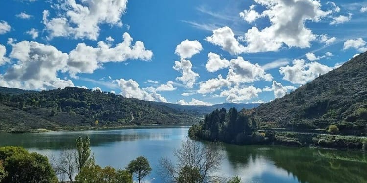 Celebrating Nature: Nurture Your Inner Climate Activist