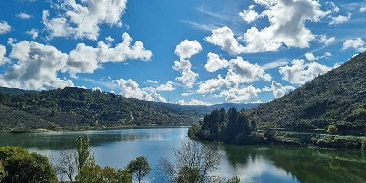 Celebrating Nature: Nurture Your Inner Climate Activist