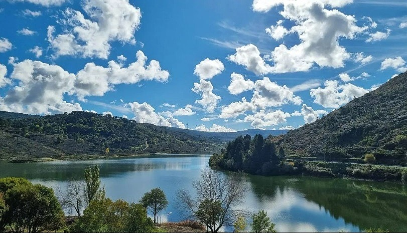 Celebrating Nature: Nurture Your Inner Climate Activist