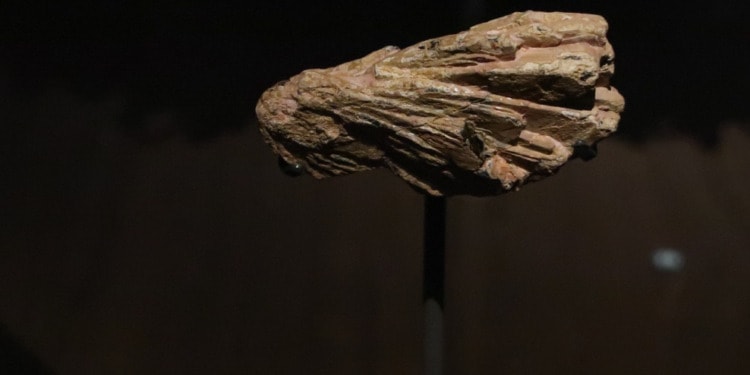 Rare earth minerals discovered in Sweden