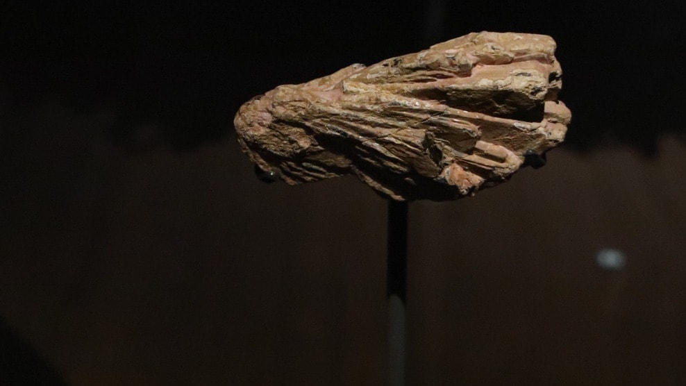 Rare earth minerals discovered in Sweden