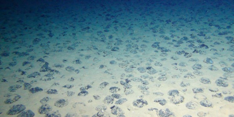 France to Ban Deep-Sea Mining: What It Implies, and Why It’s Important