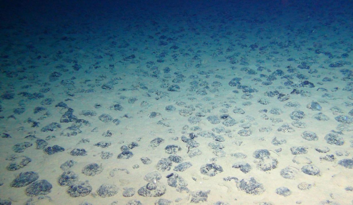 France to Ban Deep-Sea Mining: What It Implies, and Why It’s Important