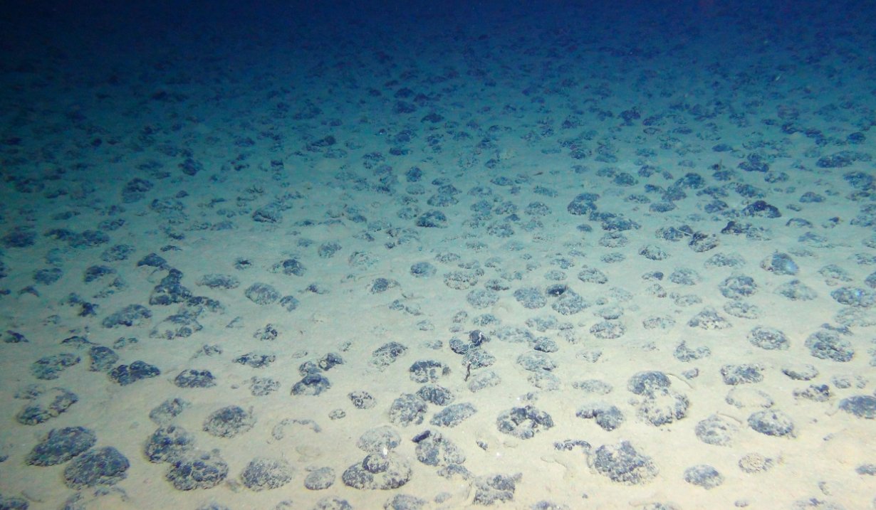 France to Ban Deep-Sea Mining: What It Implies, and Why It’s Important