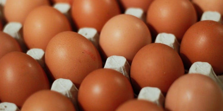 Bird Flu is Making Your Weekly Food Shop More Egg-Spensive