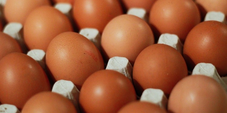 Bird Flu is Making Your Weekly Food Shop More Egg-Spensive