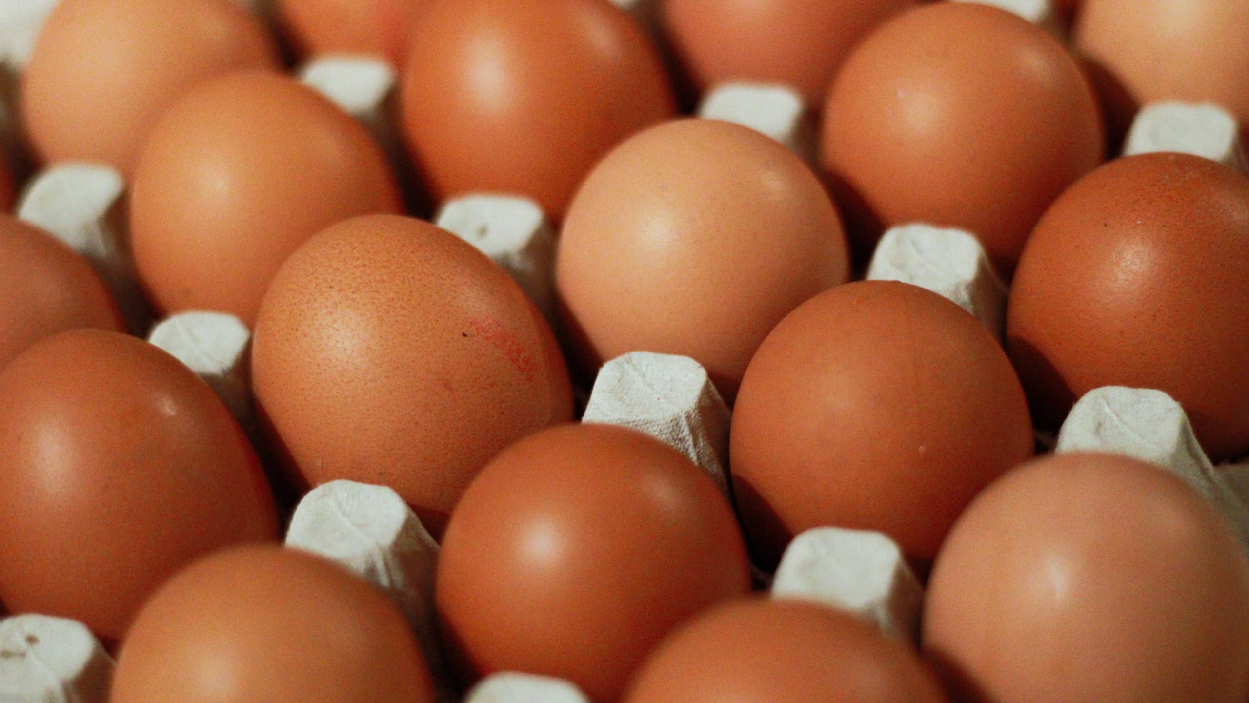 Bird Flu is Making Your Weekly Food Shop More Egg-Spensive