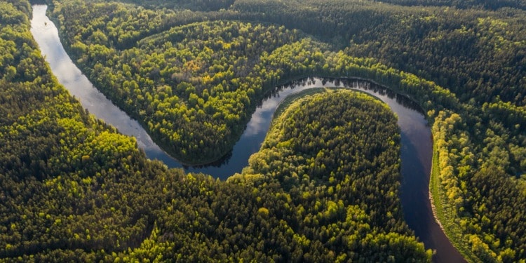 Can The Amazon Be Saved Under Lula’s Leadership?